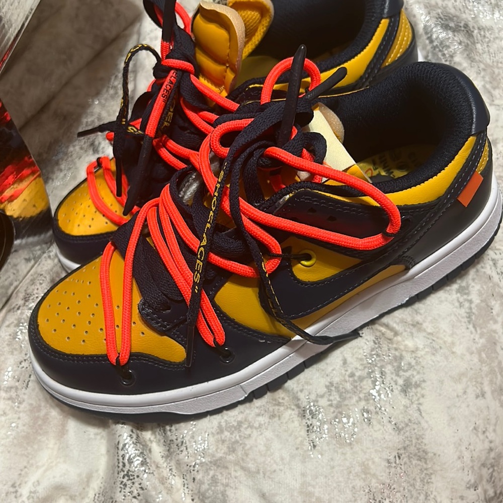 Nike an dunk low pro